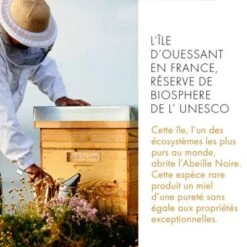 Guerlain Abeille Royale Crème De Nuit -Guerlain Soldes Magasin abeill royale nuit 4