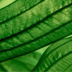 Biotherm Aquasource Aura Concentrate Sérum Régénérant Hydratation Et éclat 17 Biotherm Aquasource Aura Concentrate Sérum Régénérant Hydratation Et éclat -Guerlain Soldes Magasin aquasource aura concentrate serum regenerant hydratation et eclat 7