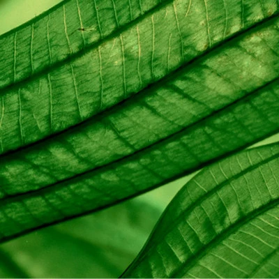 Biotherm Aquasource Aura Concentrate Sérum Régénérant Hydratation Et éclat 10 Biotherm Aquasource Aura Concentrate Sérum Régénérant Hydratation Et éclat – Image 8