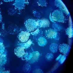 Biotherm Biovergetures Gel-Crème Corps Prévention Vergetures -Guerlain Soldes Magasin biovergetures gel creme corps prevention vergetures 7