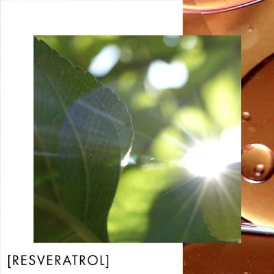 Biotherm Blue Therapy Crème De Nuit Nutrition Et Éclat 5 Biotherm Blue Therapy Crème De Nuit Nutrition Et Éclat – Image 3