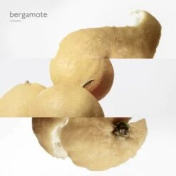 Hermès Eau De Narcisse Bleu Eau De Cologne -Guerlain Soldes Magasin eau narcisse bleu 5