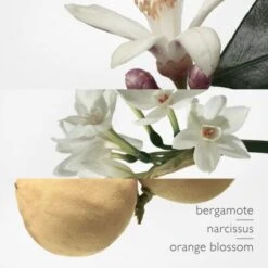 Hermès Eau De Narcisse Bleu Eau De Cologne -Guerlain Soldes Magasin eau narcisse bleu 7