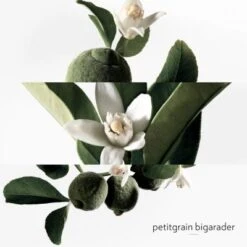 Hermès Eau De Néroli Doré Eau De Cologne 15 Hermès Eau De Néroli Doré Eau De Cologne -Guerlain Soldes Magasin eau neroli dore 5