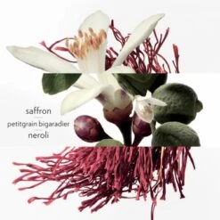 Hermès Eau De Néroli Doré Eau De Cologne 16 Hermès Eau De Néroli Doré Eau De Cologne -Guerlain Soldes Magasin eau neroli dore 6