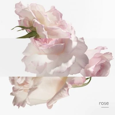 Hermès Eau De Pamplemousse Rose Eau De Cologne 8 Hermès Eau De Pamplemousse Rose Eau De Cologne – Image 6