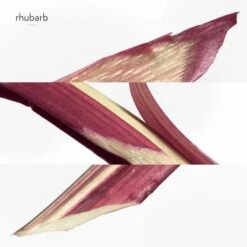 Hermès Eau De Rhubarbe écarlate Eau De Cologne -Guerlain Soldes Magasin eau rhubarb ecarl 1 3