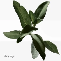 Hermès H24 Savon -Guerlain Soldes Magasin h24 savon 4