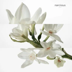 Hermès H24 Soin Visage Energisant Hydratant -Guerlain Soldes Magasin h24 soin hydratant 6