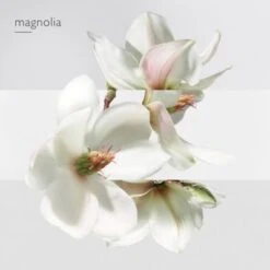 Hermès Un Jardin Sur La Lagune Eau De Toilette -Guerlain Soldes Magasin jardin lagune edt 4