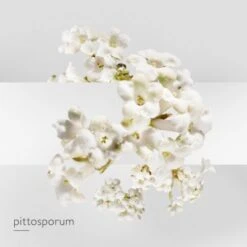 Hermès Un Jardin Sur La Lagune Eau De Toilette -Guerlain Soldes Magasin jardin lagune edt 5