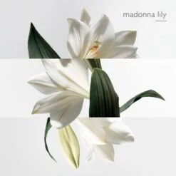 Hermès Un Jardin Sur La Lagune Eau De Toilette -Guerlain Soldes Magasin jardin lagune edt 6