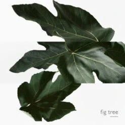 Hermès Un Jardin En Méditerranée Eau De Toilette -Guerlain Soldes Magasin jardin medit edt 3