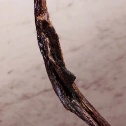 Paco Rabanne Olympéa Lait Pour Le Corps -Guerlain Soldes Magasin olympea bdy lotion 2