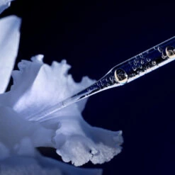 Guerlain Orchidée Impériale La Lotion Essence 13 Guerlain Orchidée Impériale La Lotion Essence -Guerlain Soldes Magasin orchid imp lotion 3