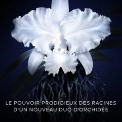 Guerlain Orchidée Impériale La Crème -Guerlain Soldes Magasin orchidee imp creme 3