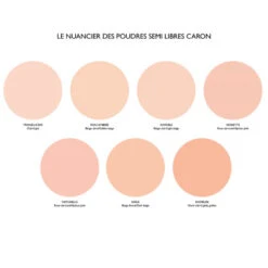 Poudre Semi-Libre Poudre Fine 17 Poudre Semi-Libre Poudre Fine -Guerlain Soldes Magasin poudre semi libre poudre 7